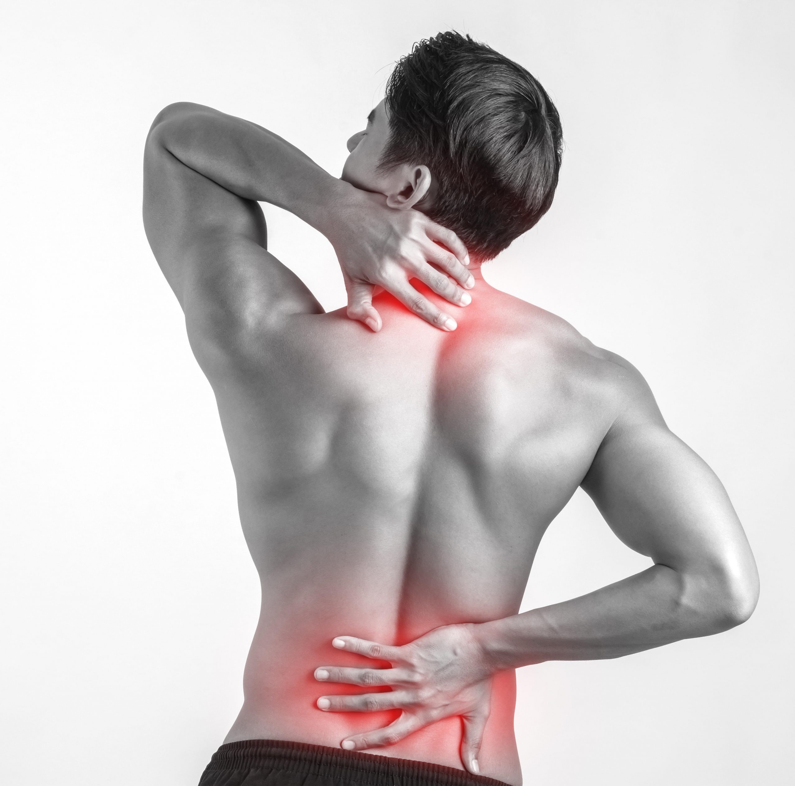 Back pain cure
